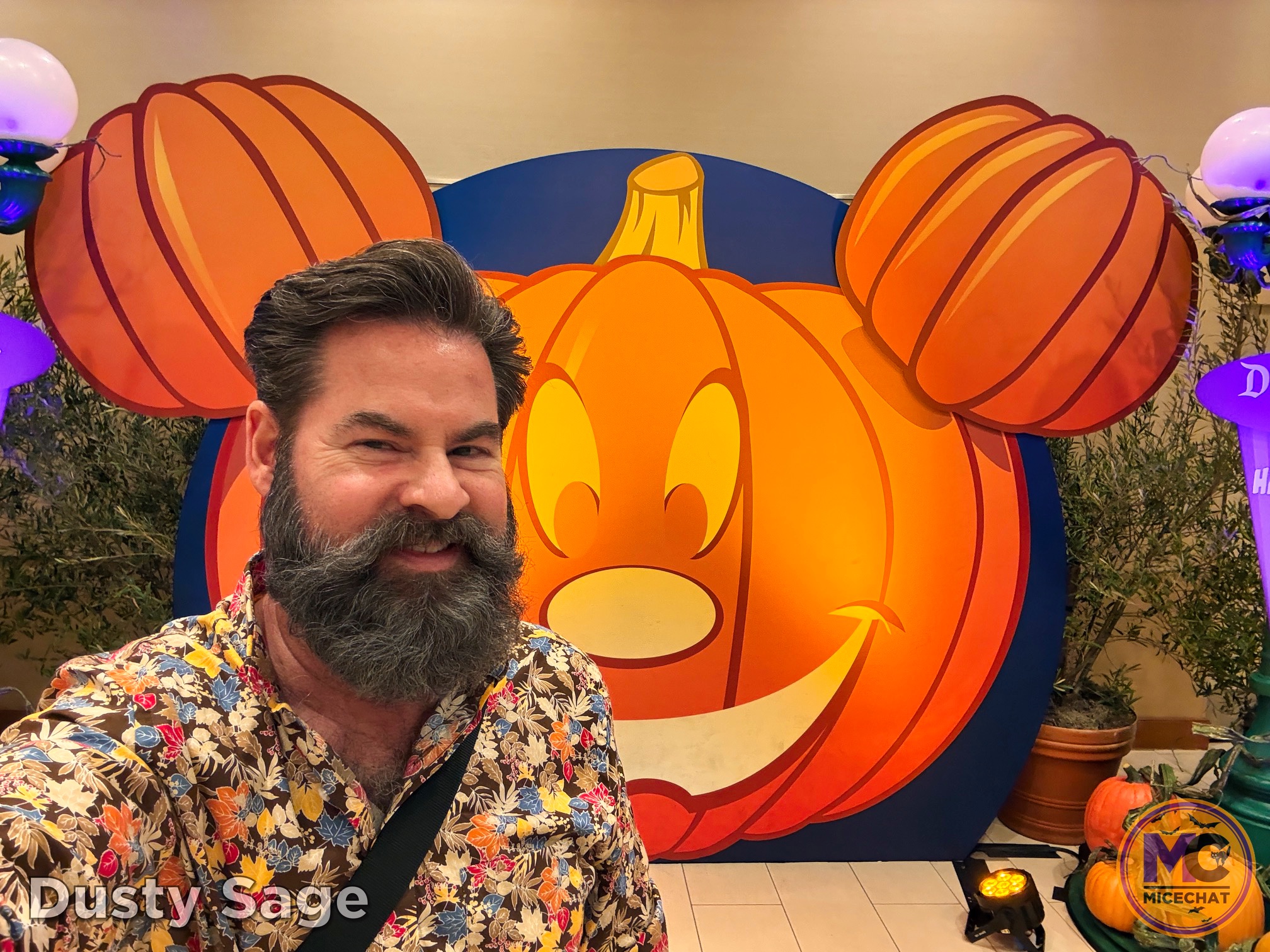 , DISNEYLAND UPDATE: Night Lights Delight, Price Spike & Bayou Hype