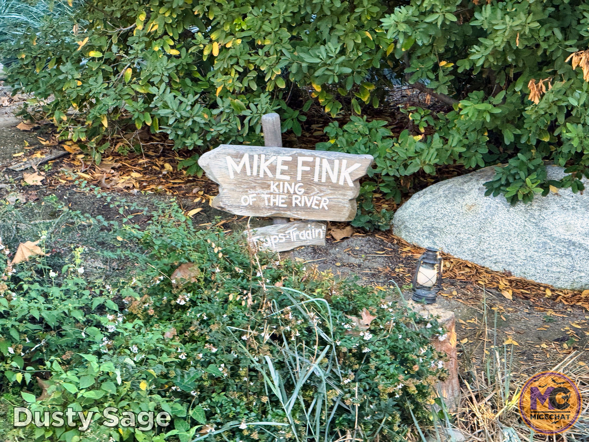 , DISNEYLAND UPDATE: Night Lights Delight, Price Spike & Bayou Hype