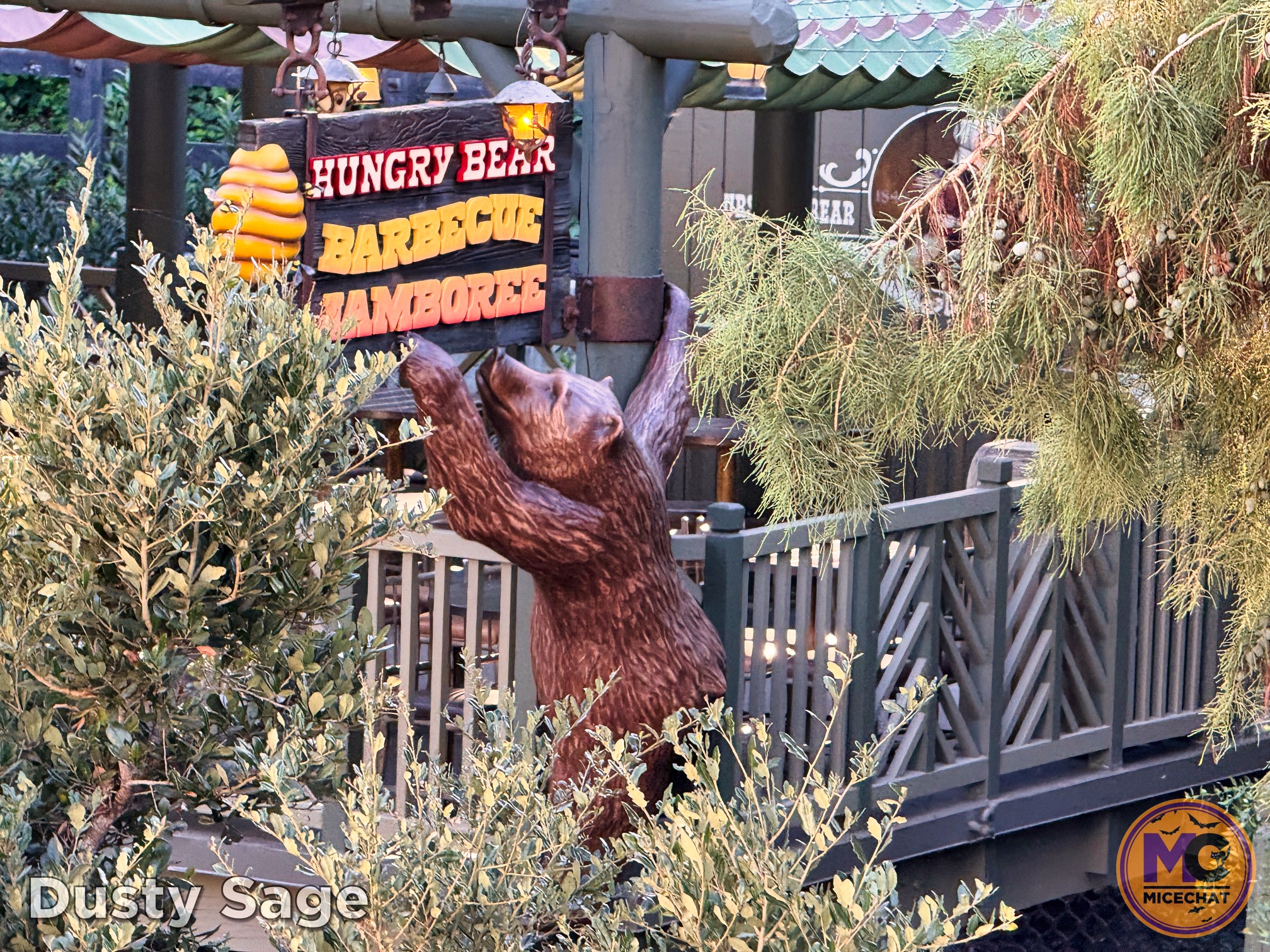 , DISNEYLAND UPDATE: Night Lights Delight, Price Spike & Bayou Hype