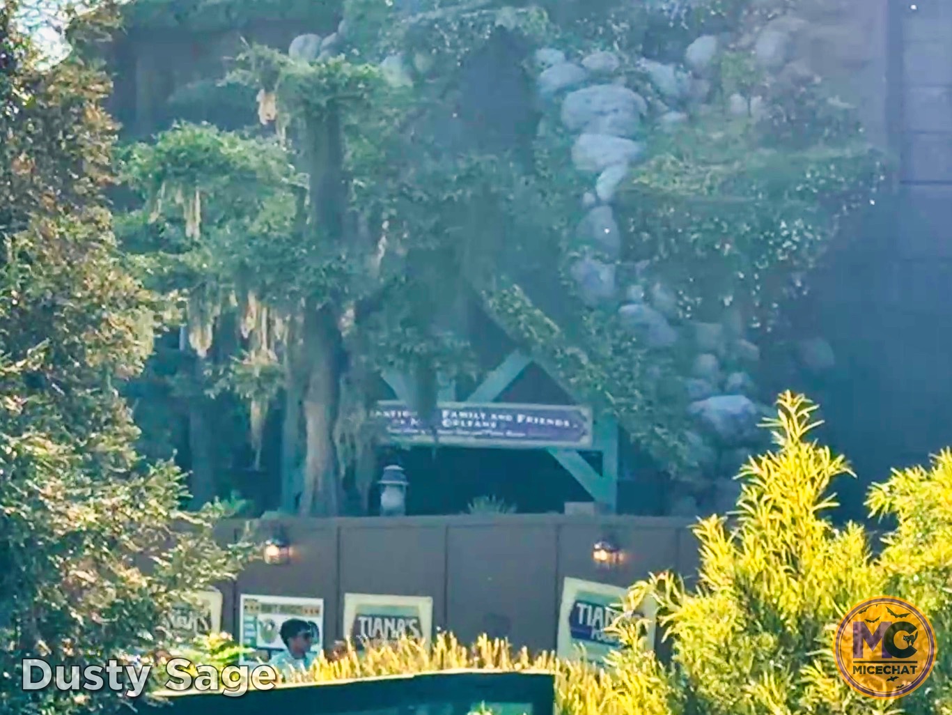 , DISNEYLAND UPDATE: Night Lights Delight, Price Spike & Bayou Hype