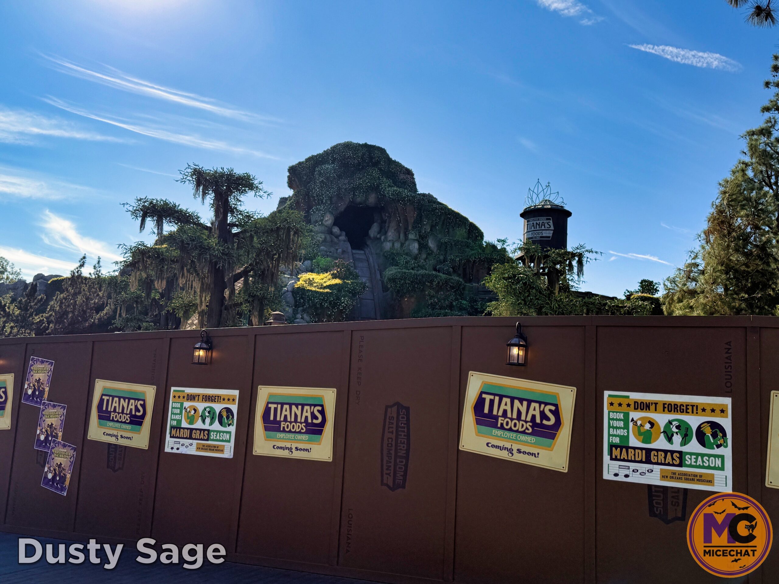 , DISNEYLAND UPDATE: Night Lights Delight, Price Spike & Bayou Hype