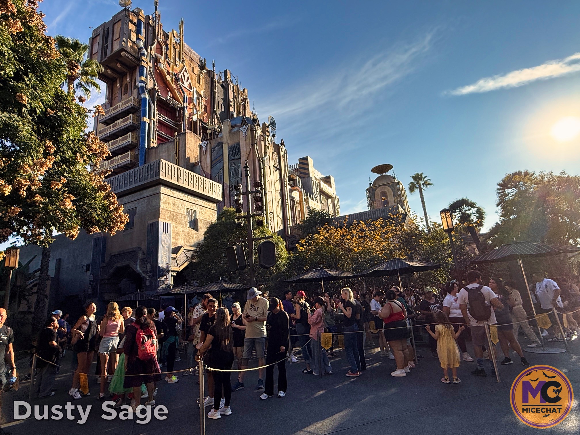 , DISNEYLAND UPDATE: Night Lights Delight, Price Spike & Bayou Hype