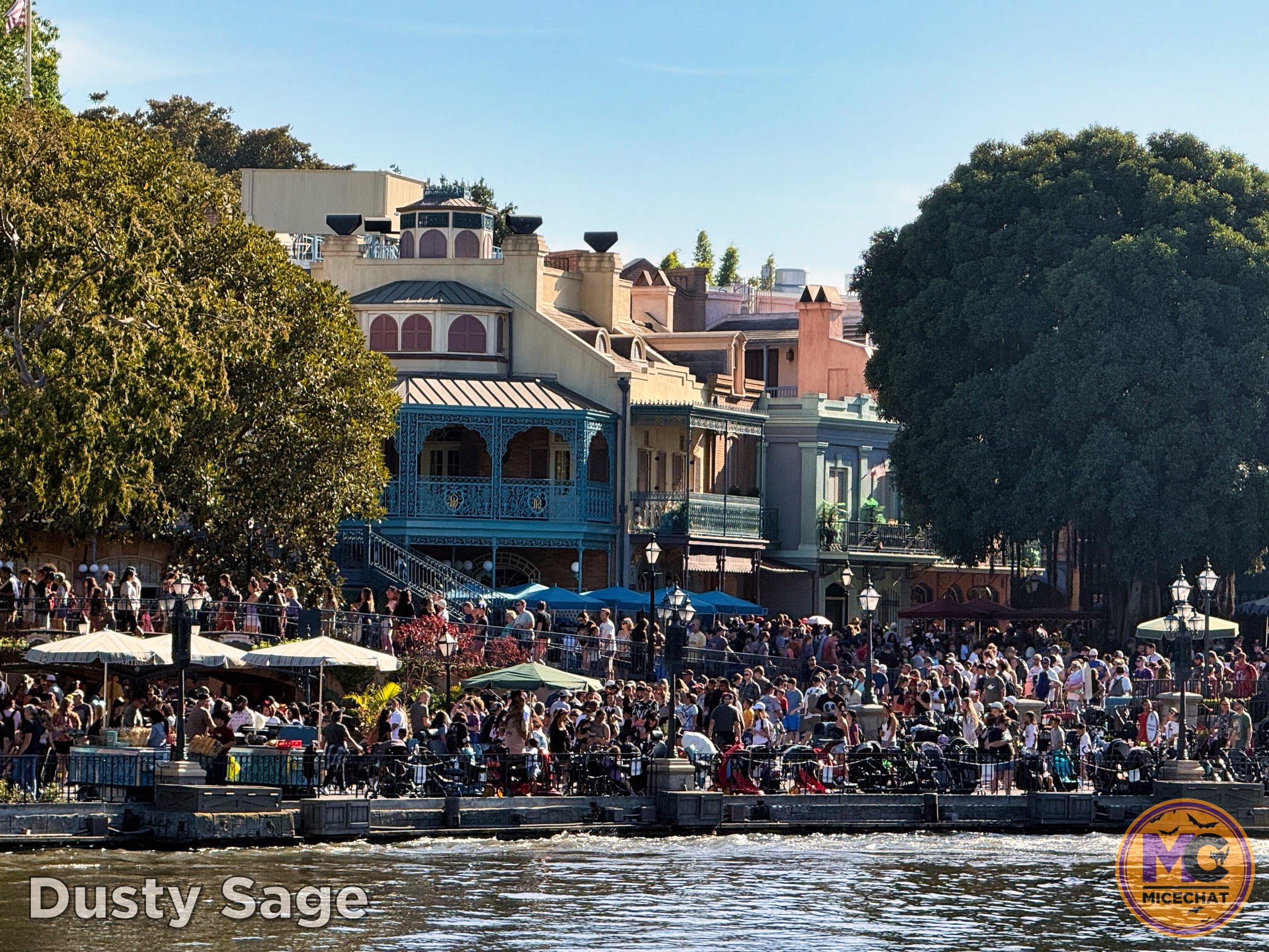 , DISNEYLAND UPDATE: Night Lights Delight, Price Spike & Bayou Hype