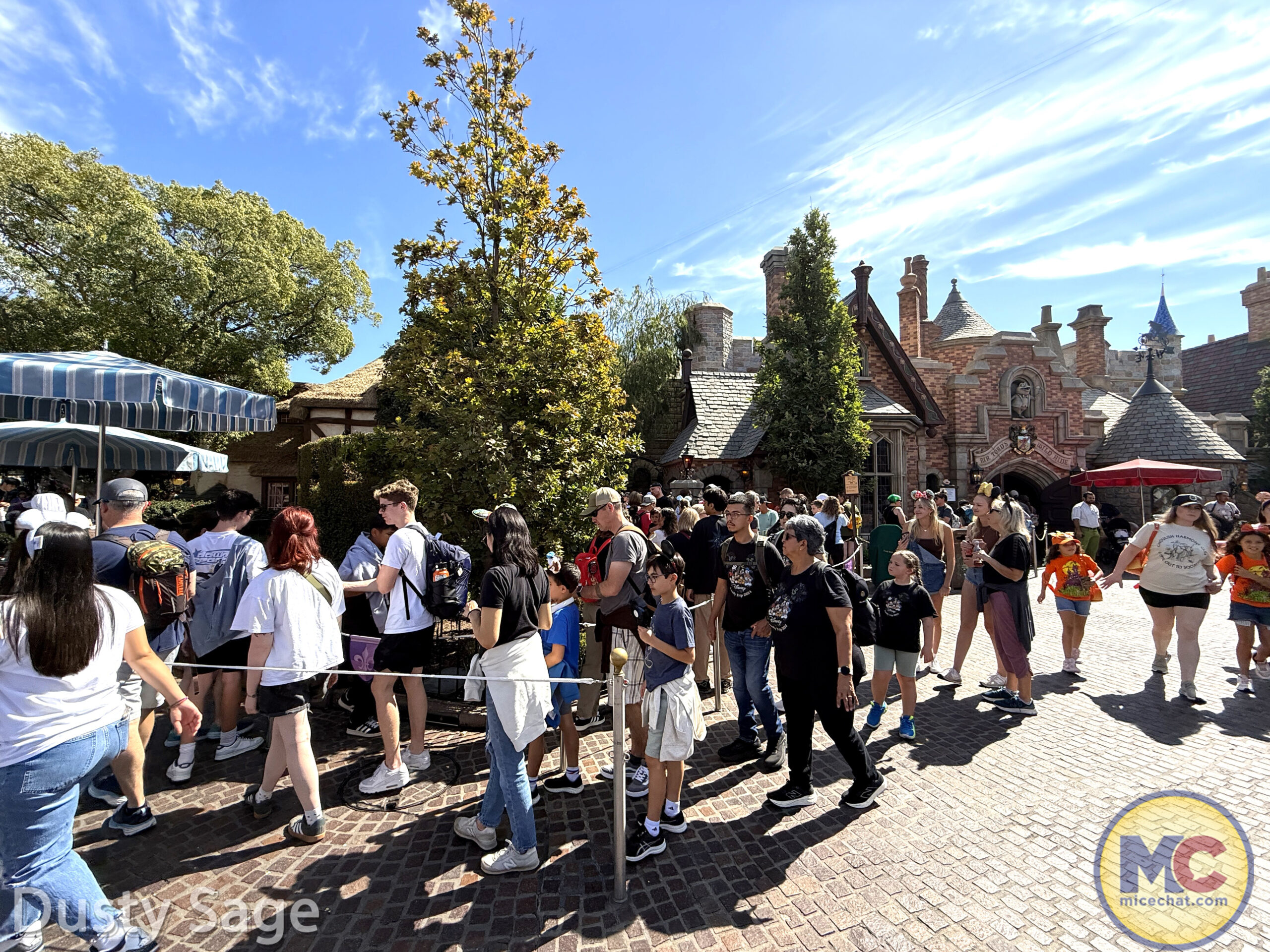 , DISNEYLAND UPDATE: Night Lights Delight, Price Spike & Bayou Hype