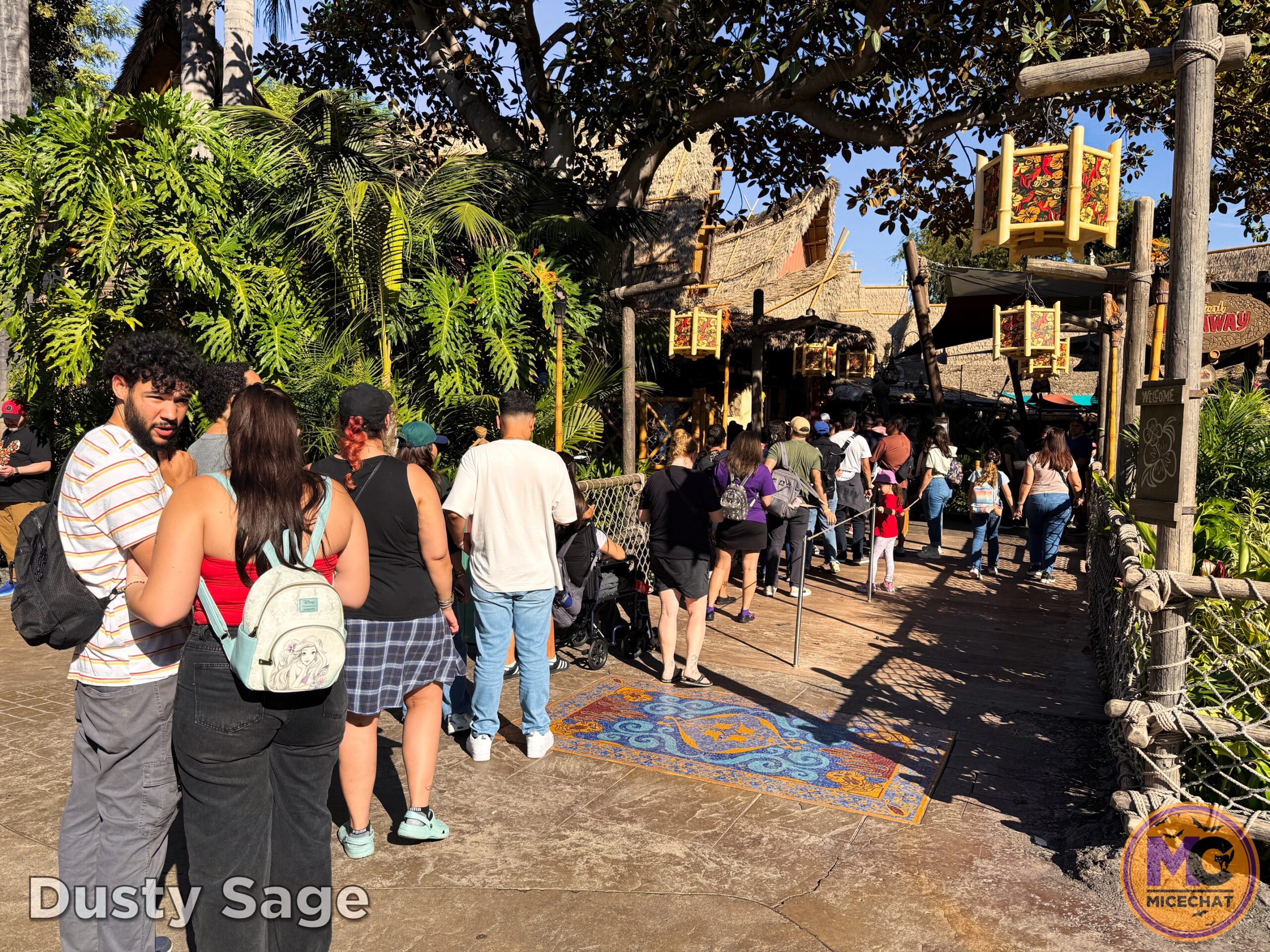 , DISNEYLAND UPDATE: Night Lights Delight, Price Spike & Bayou Hype