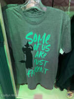 Universal Orlando Resort Wicked store Elphaba merchandise