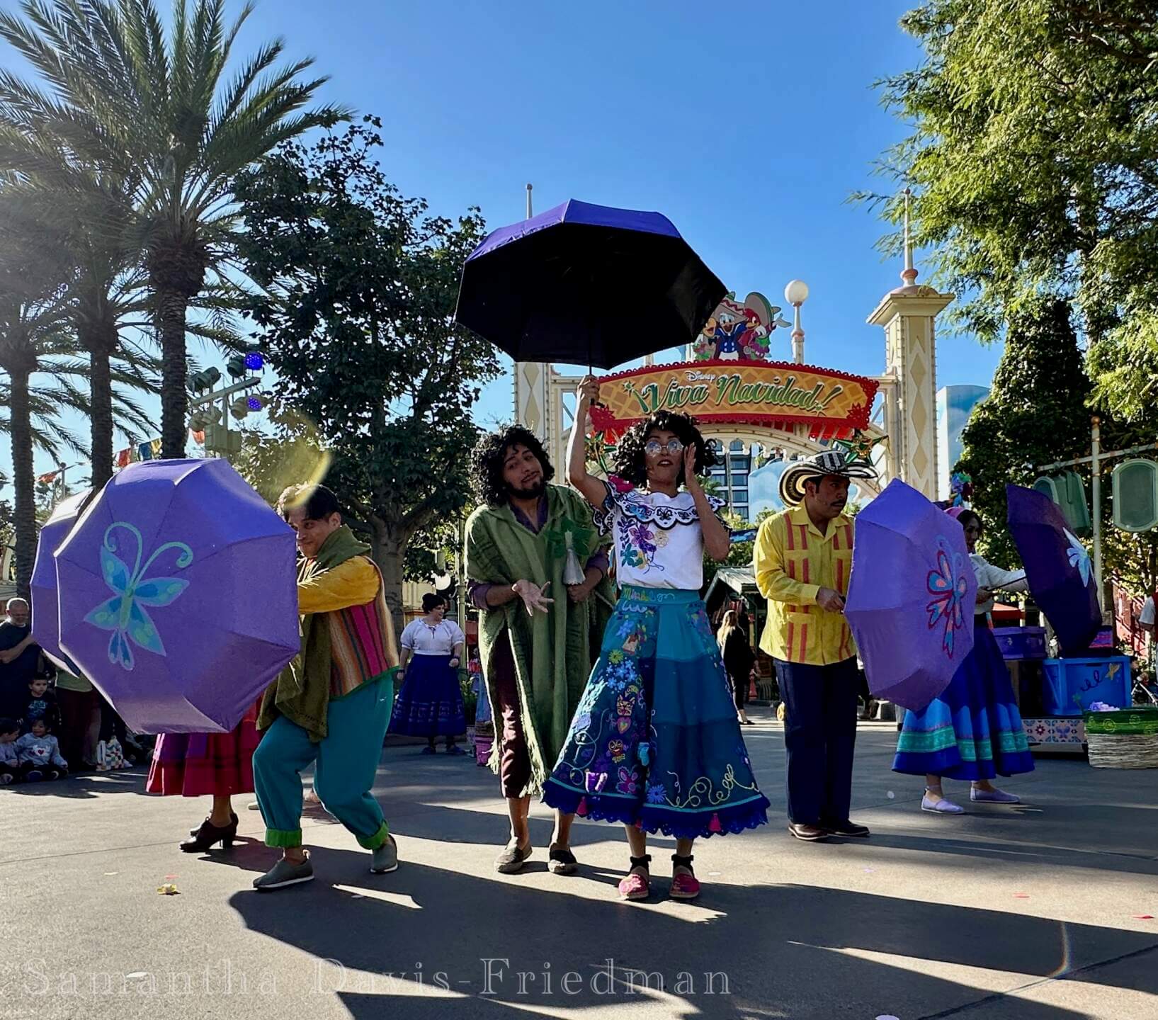 , DISNEYLAND UPDATE: Walls Tumble Down, Holidays Unwrap & the Bayou Debuts!