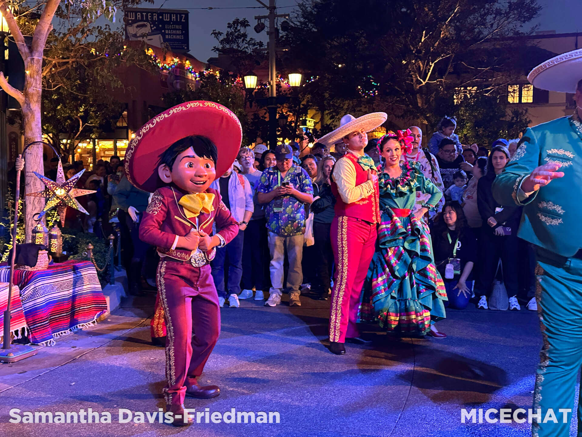 Disneyland Coco holiday show
