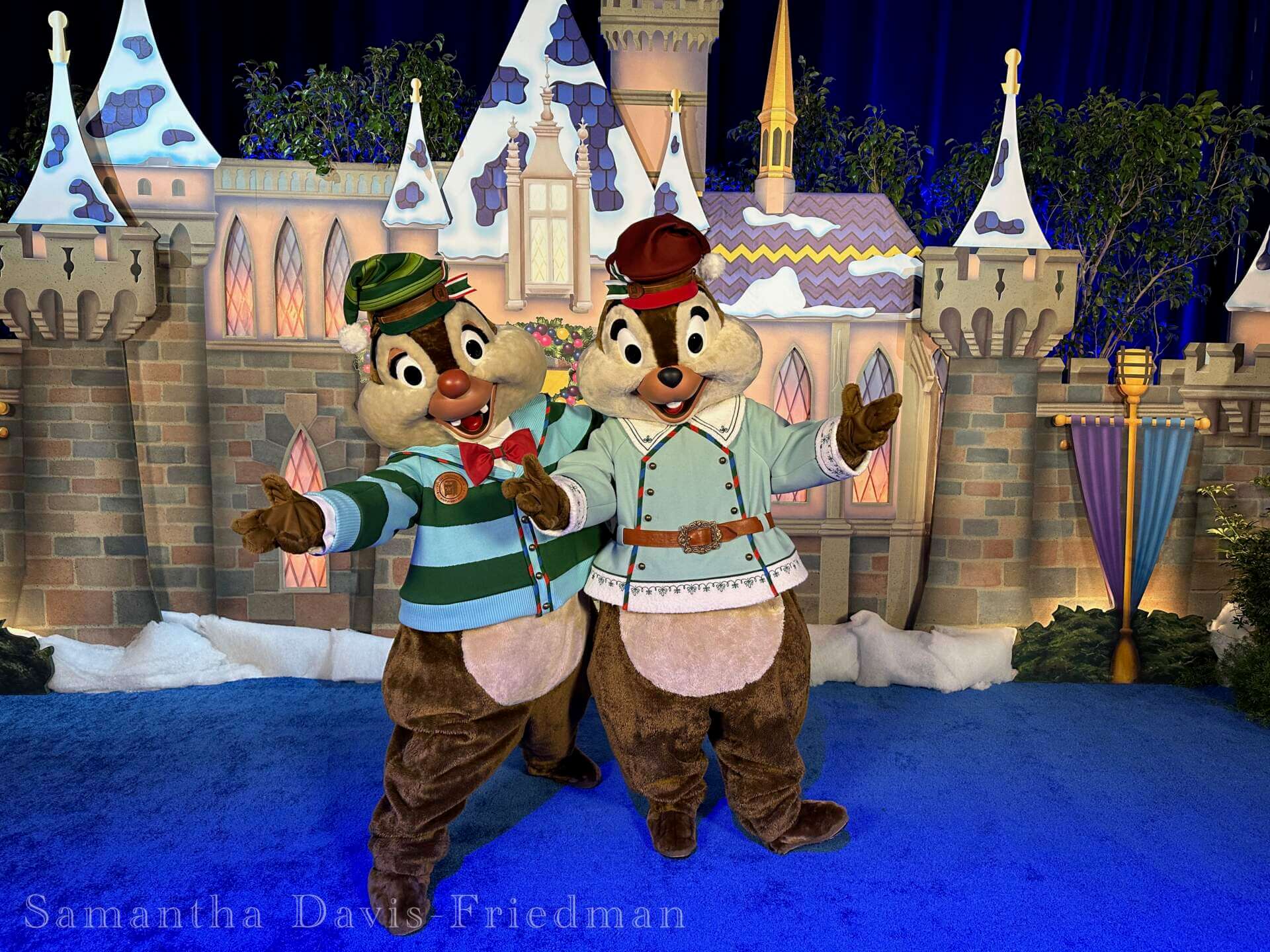 , DISNEYLAND UPDATE: Walls Tumble Down, Holidays Unwrap & the Bayou Debuts!