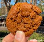 Disneyland Harbour Galley Gingerbread Cookies Delicious