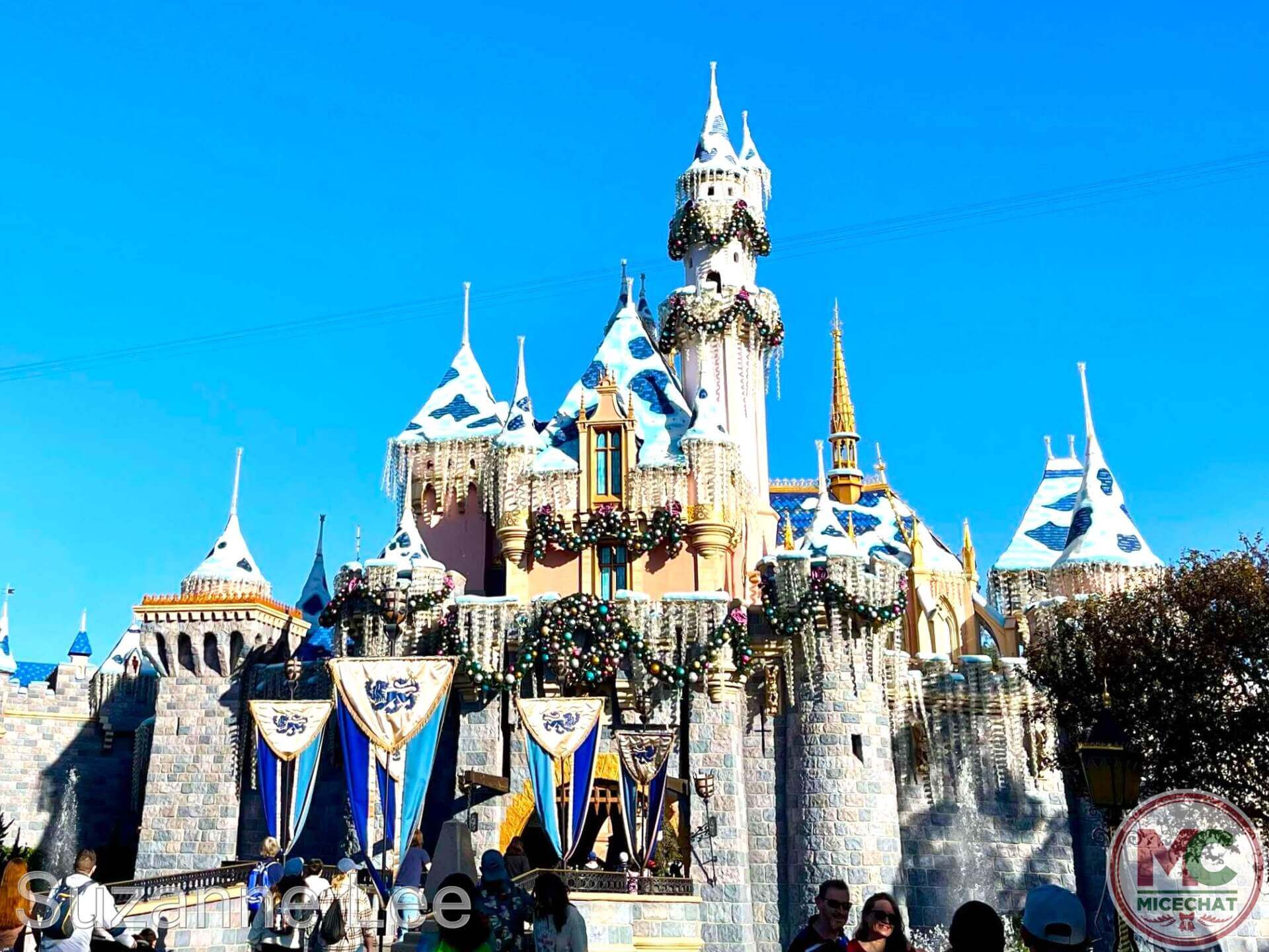 , DISNEYLAND UPDATE: Bayou Debut, Holidays Happen & Queuing Questions!