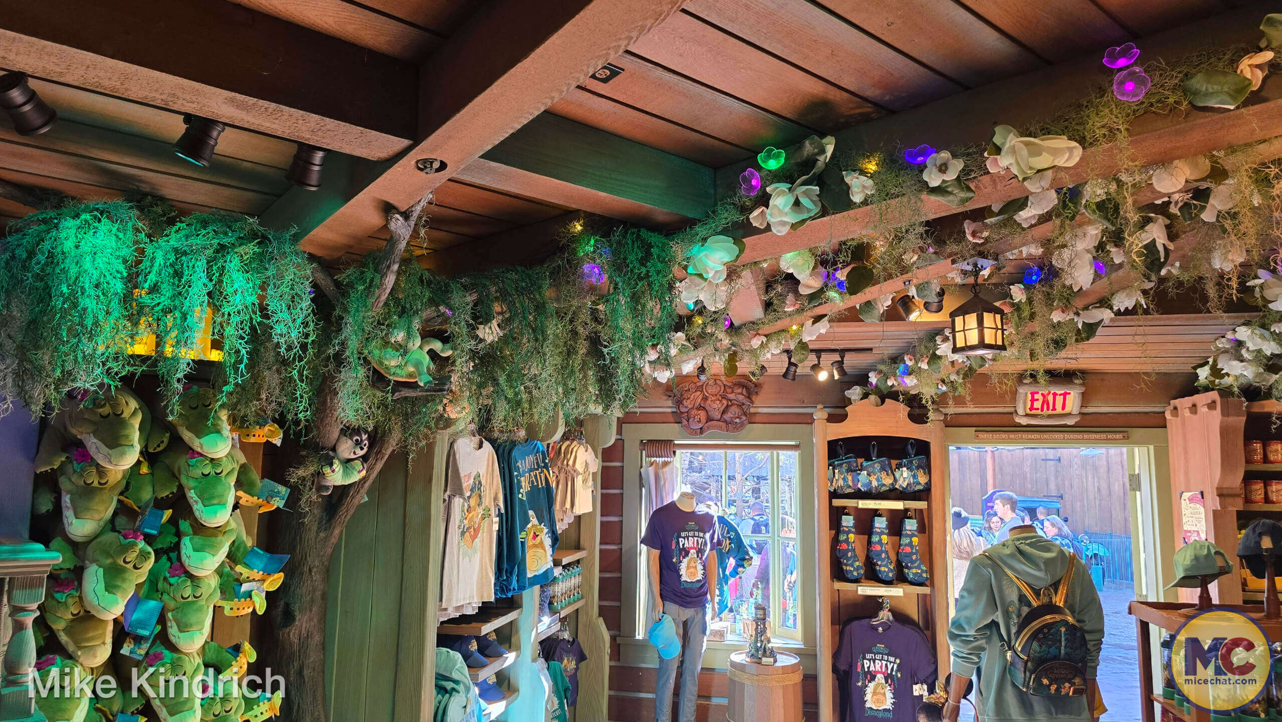 Tiana's Bayou Adventure merchandise, UPDATED! Tiana’s Bayou Adventure Merchandise Guide – Shop ’til the Drop!
