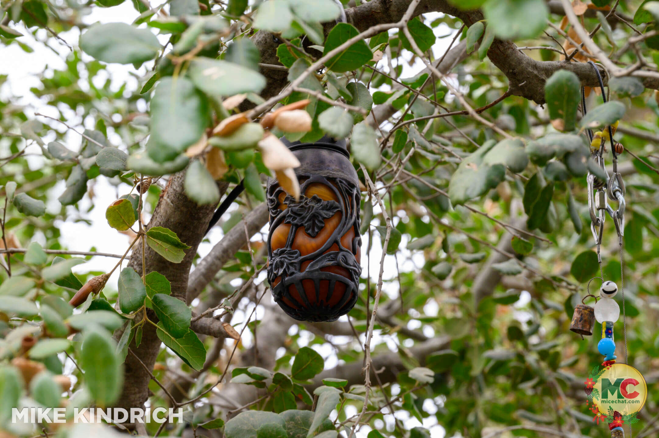 , DISNEYLAND UPDATE: Holiday Humbugs, Haunted Happenings & the Pricing Paradox
