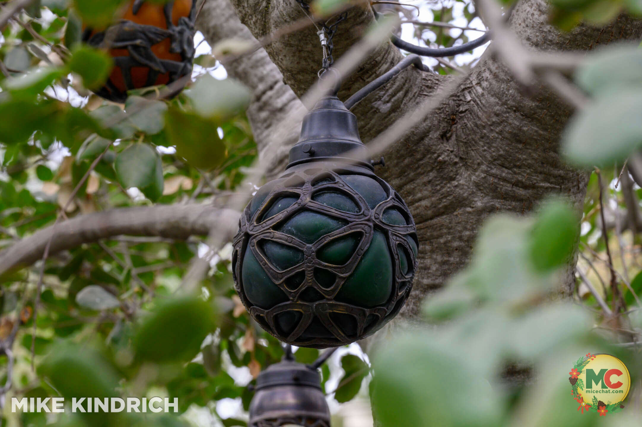 , DISNEYLAND UPDATE: Holiday Humbugs, Haunted Happenings & the Pricing Paradox