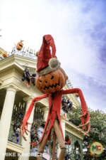 Disneyland_Haunted Mansion_New Orleans Square_Queue (66 of 94)