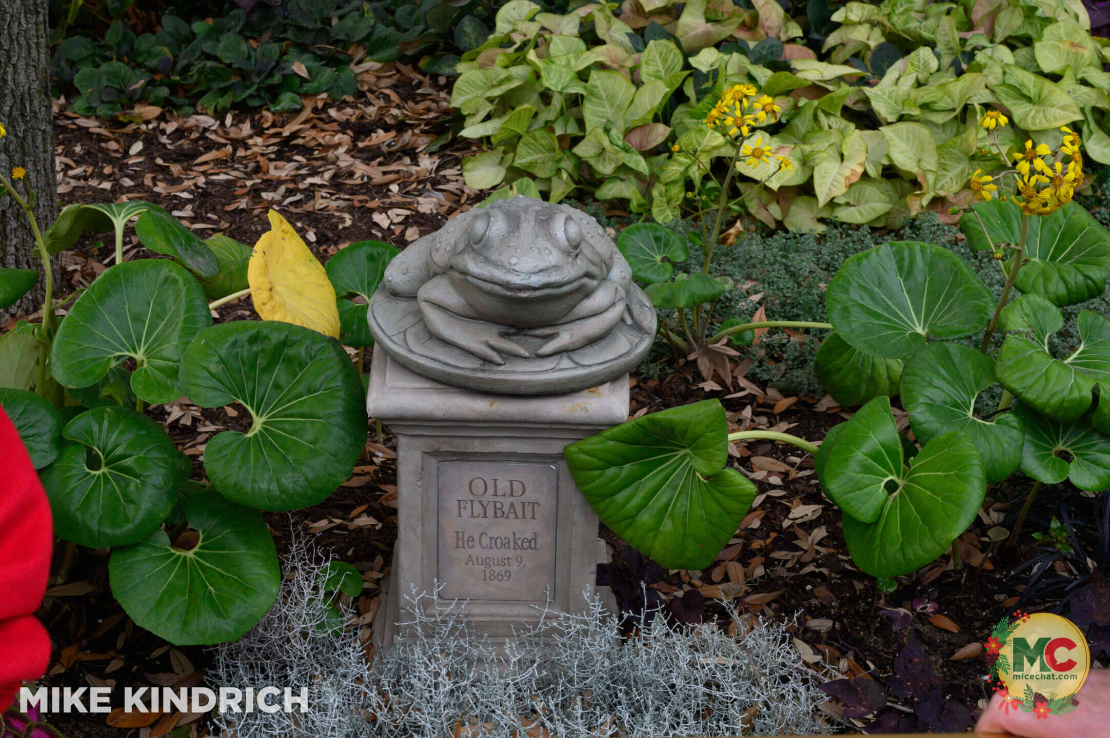 , DISNEYLAND UPDATE: Holiday Humbugs, Haunted Happenings & the Pricing Paradox