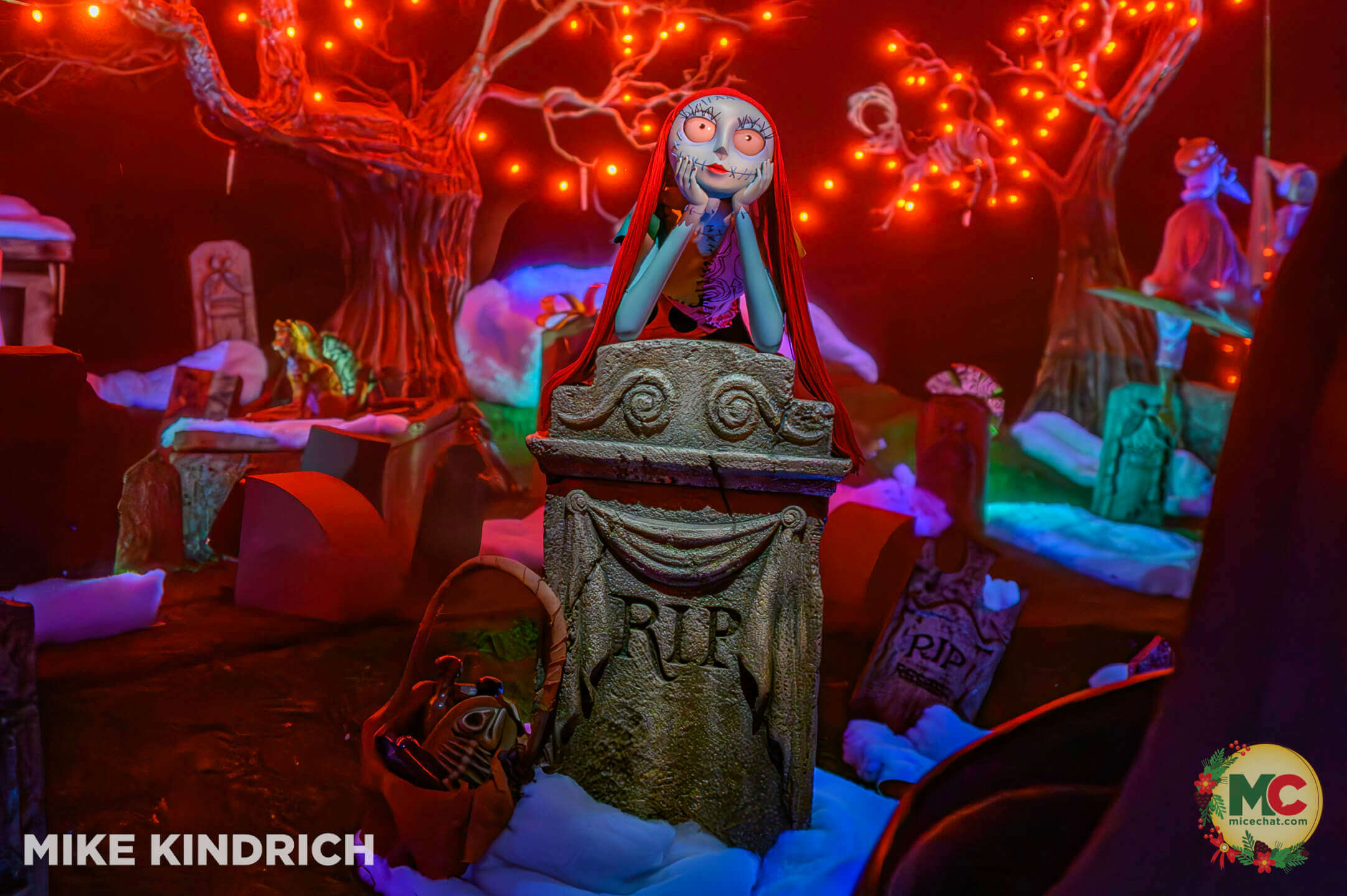 , DISNEYLAND UPDATE: Holiday Humbugs, Haunted Happenings & the Pricing Paradox