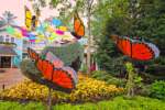 DollywoodÕs Flower and Food Festival