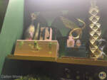 Glinda-themed prop display interior of the Wicked store at Universal Orlando Resort