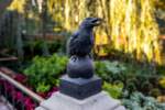 Haunted Mansion Queue Raven