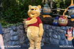 Mike Kindrich_MiceChat_Character_Disneyland_Bayou Country_Pooh Meet and Greet (1 of 1)