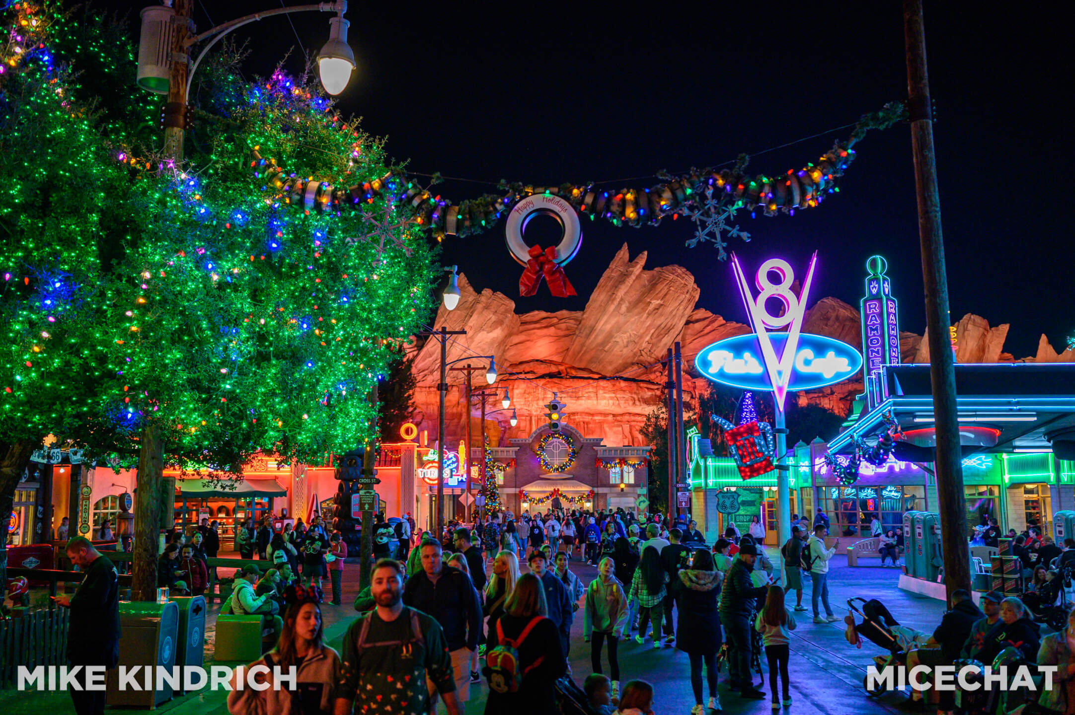, DISNEYLAND UPDATE: Bayou Debut, Holidays Happen & Queuing Questions!