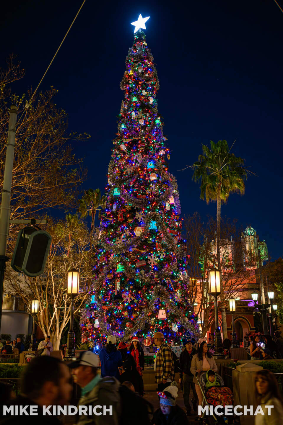 , DISNEYLAND UPDATE: Bayou Debut, Holidays Happen & Queuing Questions!