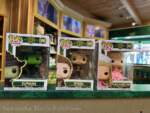 USH – Wicked – Feature Presentation Store 4