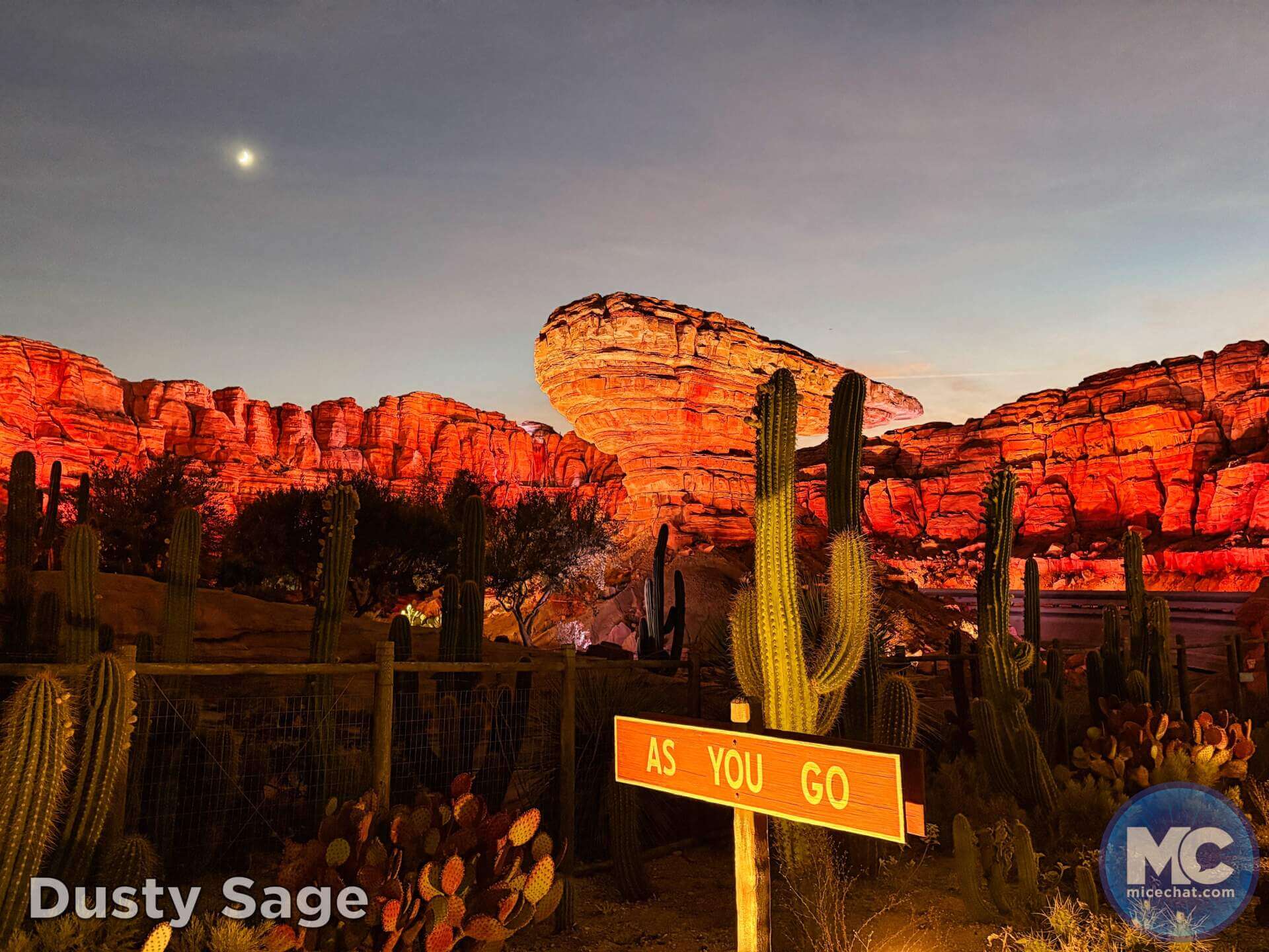 , DISNEYLAND UPDATE: Bayou Debut, Holidays Happen & Queuing Questions!