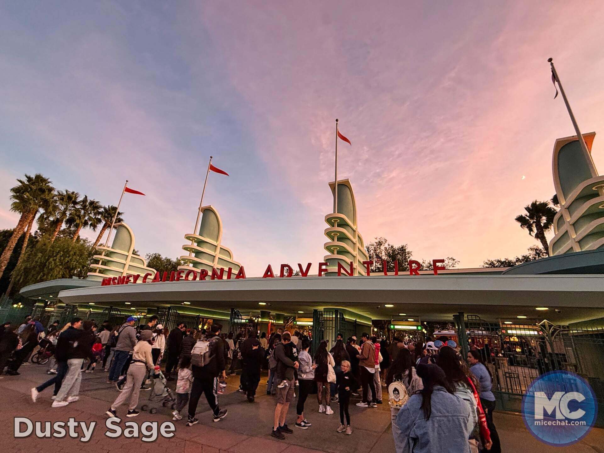, DISNEYLAND UPDATE: Bayou Debut, Holidays Happen & Queuing Questions!