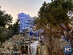 disneyland-Beauty Grizzly Mountain- MiceChat