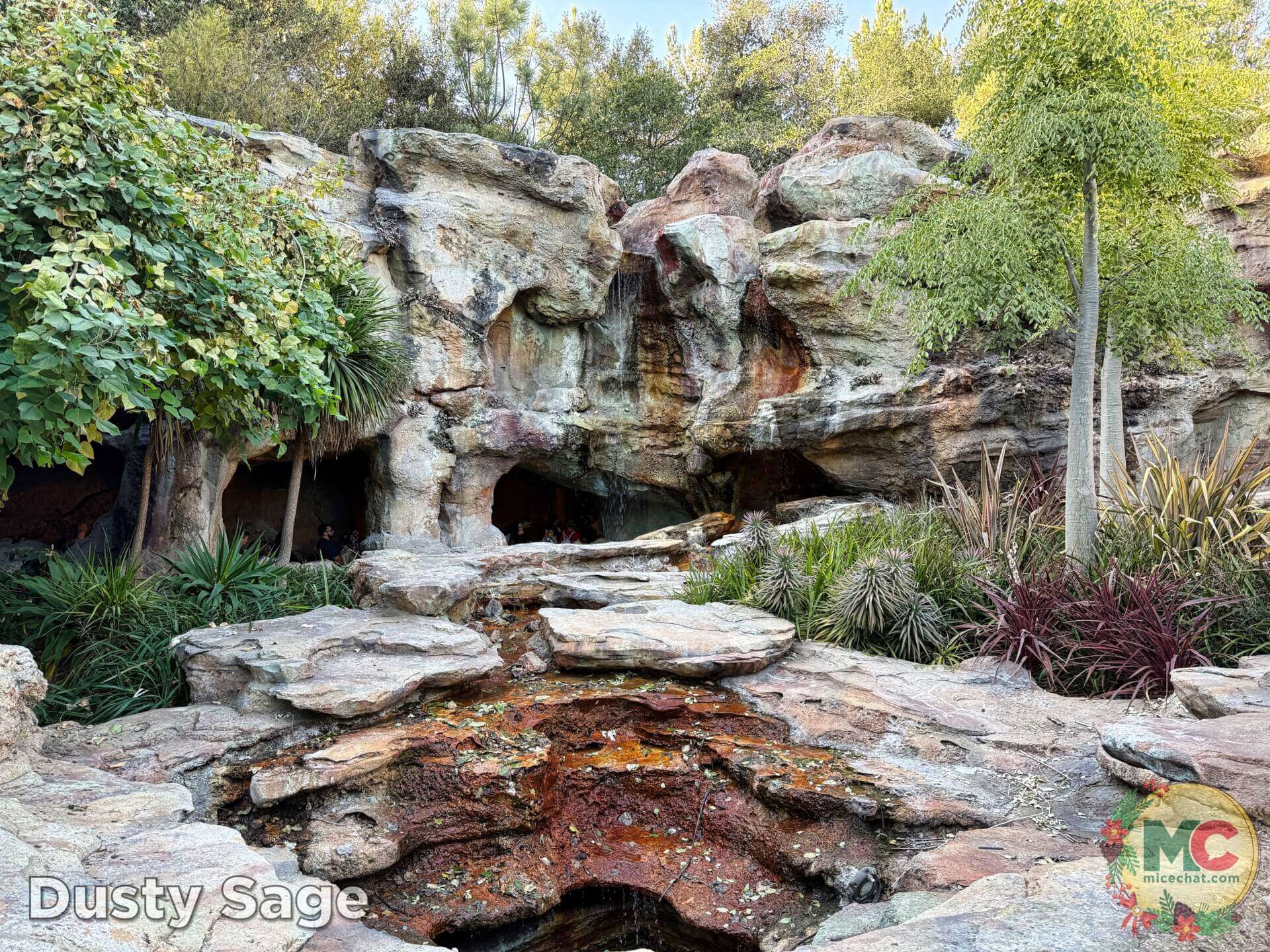, DISNEYLAND UPDATE: Construction Conclusions & Mansion Mysteries Revealed