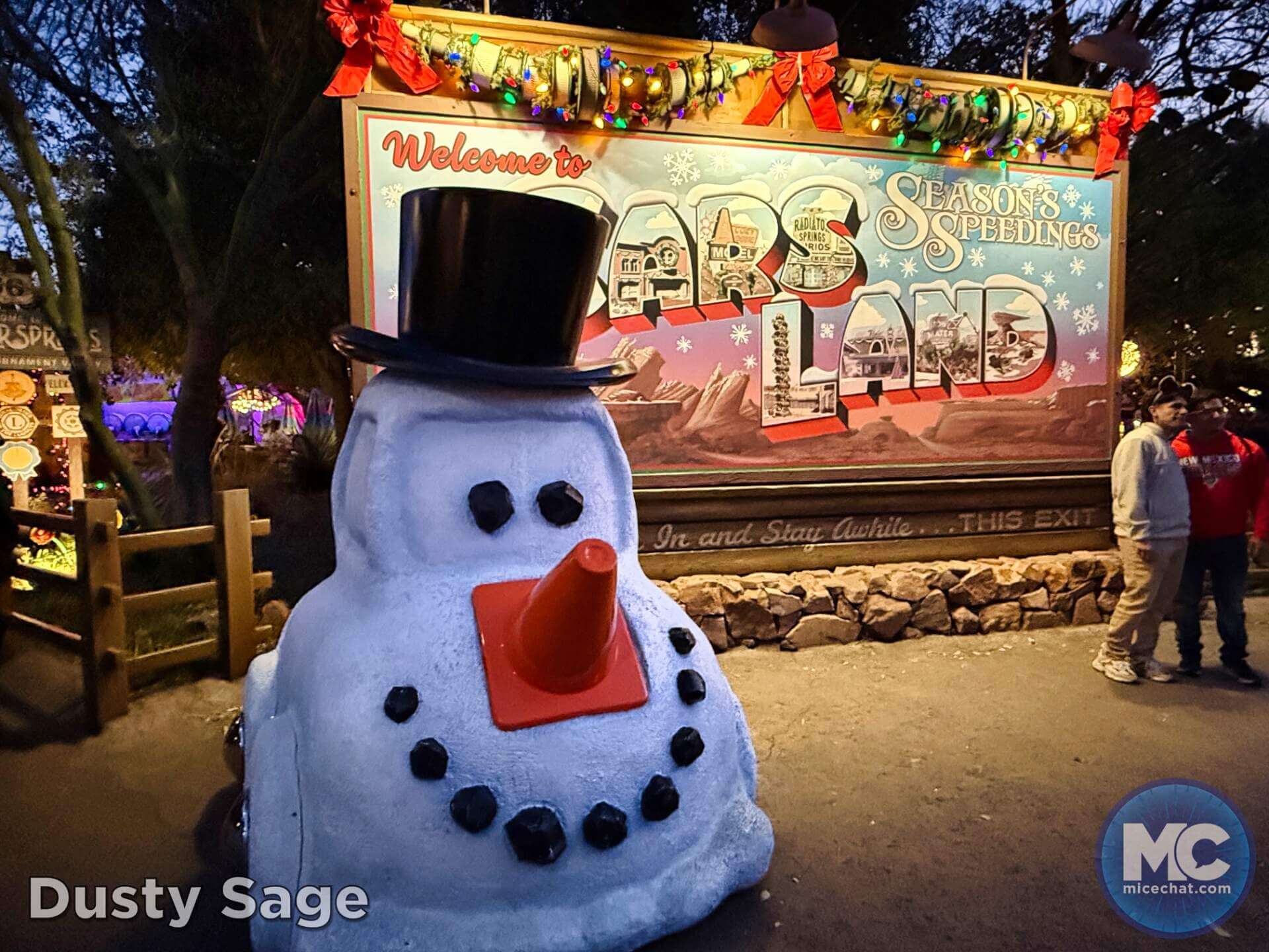 , DISNEYLAND UPDATE: Bayou Debut, Holidays Happen & Queuing Questions!