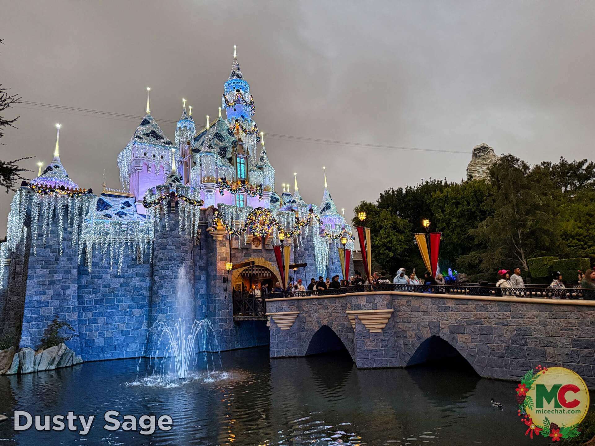 , DISNEYLAND UPDATE: Construction Conclusions & Mansion Mysteries Revealed