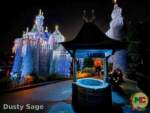 disneyland beauty castle night wishing well MiceChat