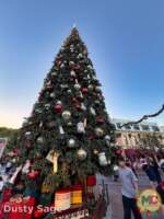 disneyland-beauty christmas tree- MiceChat