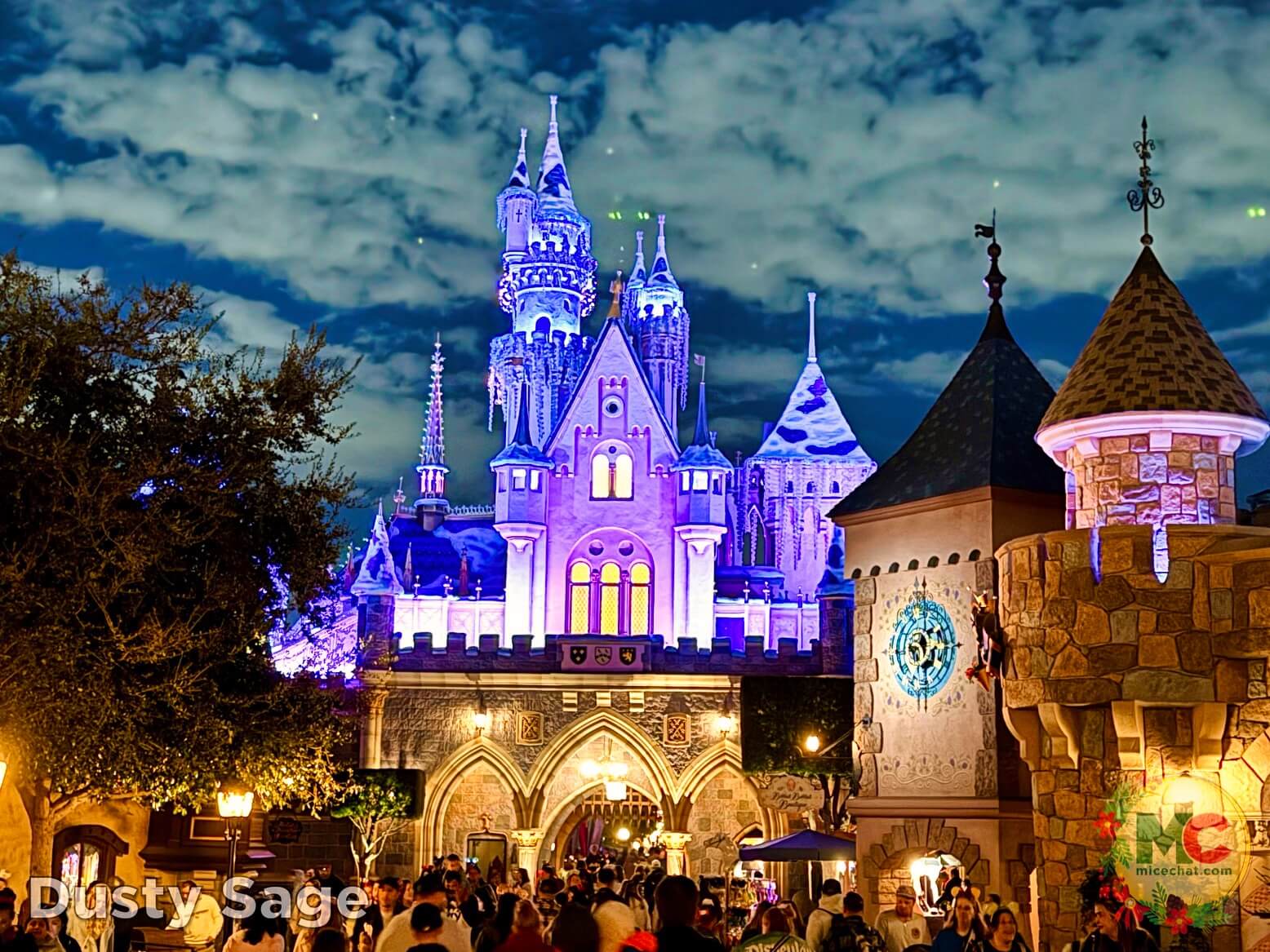 , DISNEYLAND UPDATE: Walls Tumble Down, Holidays Unwrap & the Bayou Debuts!