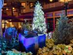 disneyland beauty holiday downtown disney tree presents MiceChat