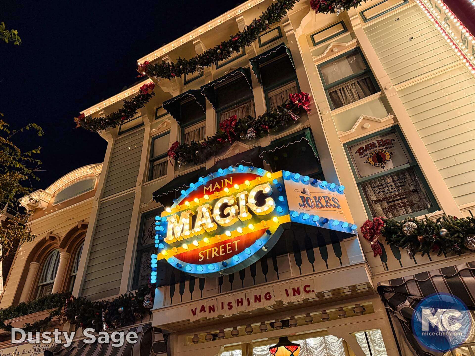 , DISNEYLAND UPDATE: Bayou Debut, Holidays Happen & Queuing Questions!