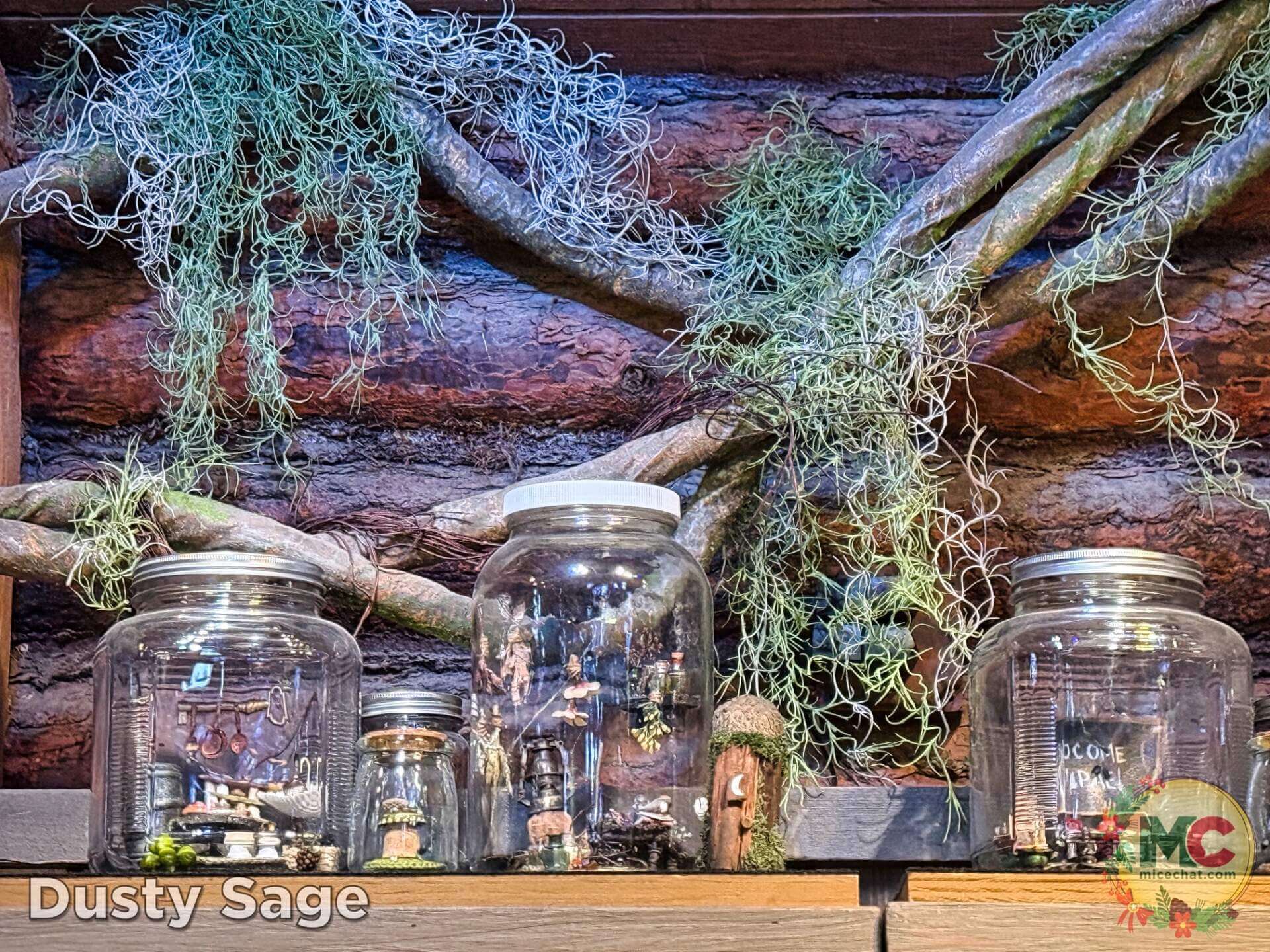 , DISNEYLAND UPDATE: Construction Conclusions & Mansion Mysteries Revealed