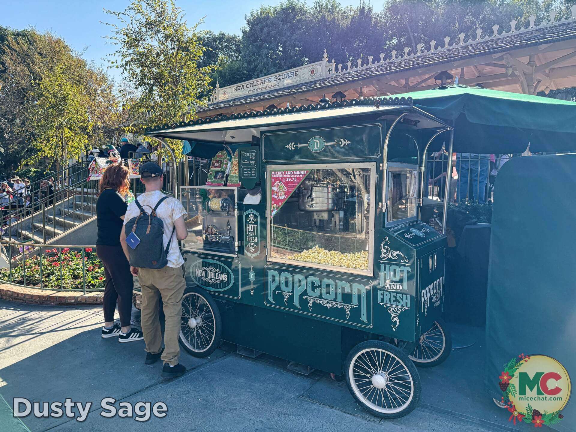, DISNEYLAND UPDATE: Construction Conclusions & Mansion Mysteries Revealed
