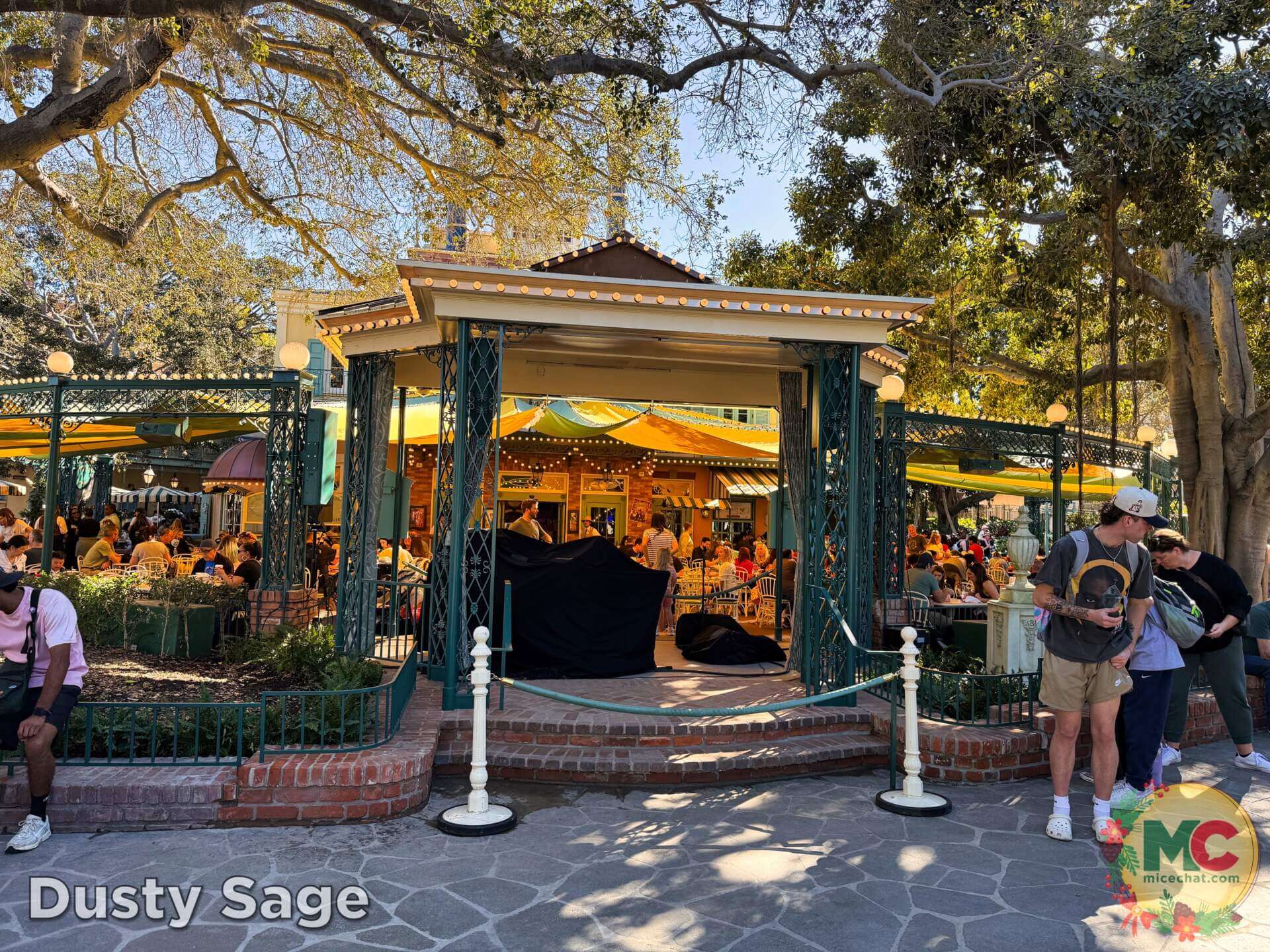 , DISNEYLAND UPDATE: Walls Tumble Down, Holidays Unwrap & the Bayou Debuts!