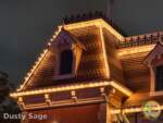 disneyland construction main street train station closeup burnt out bulbs MiceChat