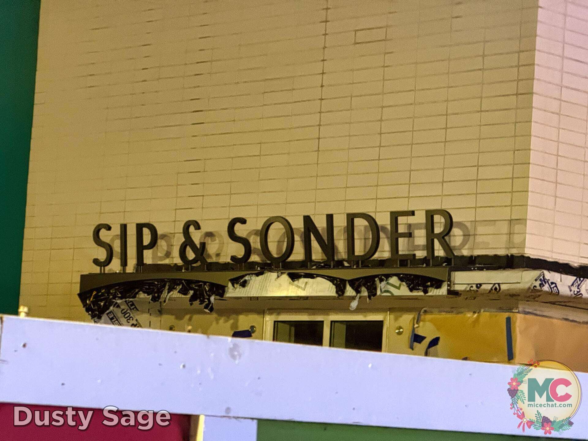 , DISNEYLAND UPDATE: Construction Conclusions & Mansion Mysteries Revealed