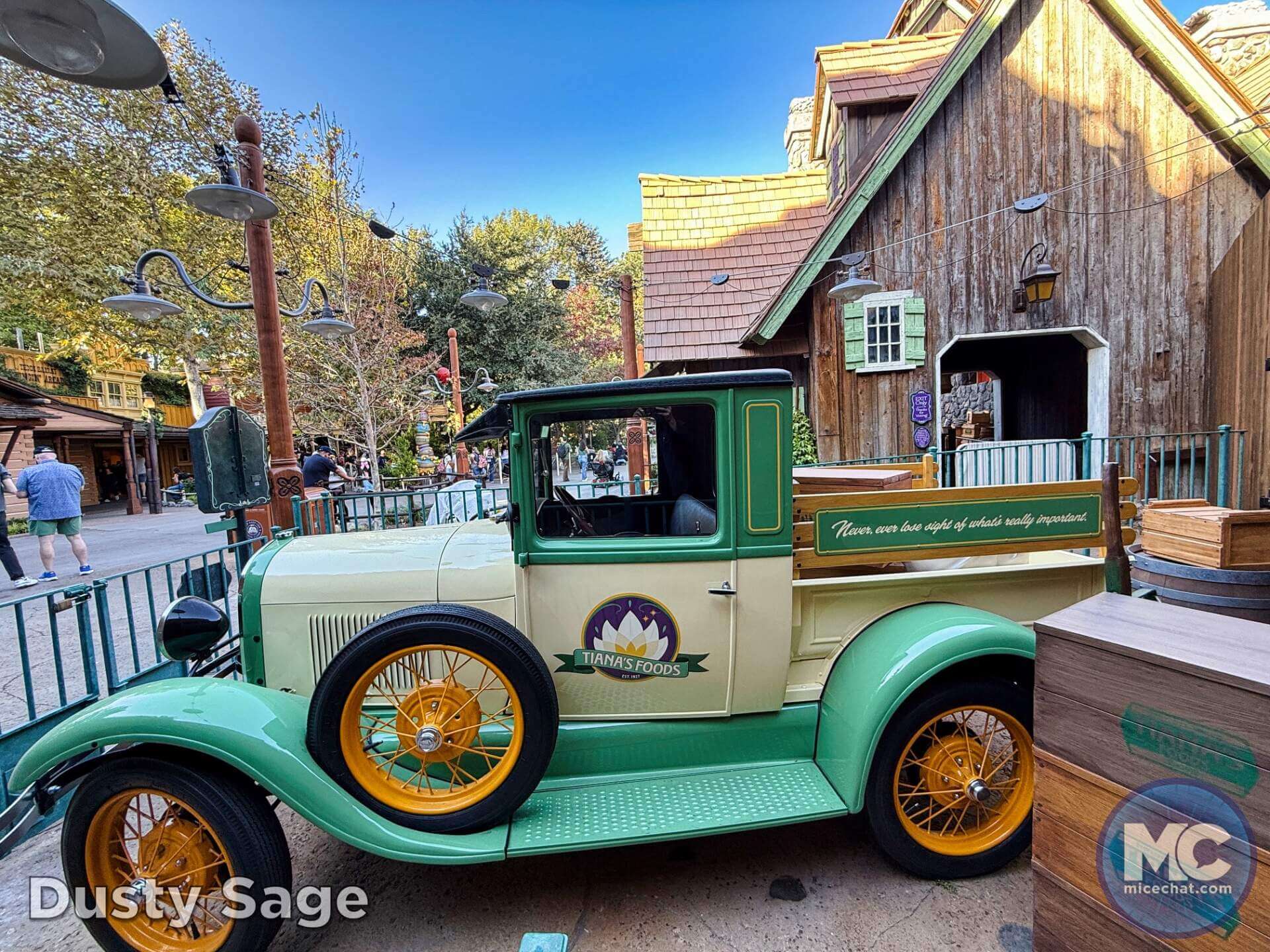 , DISNEYLAND UPDATE: Bayou Debut, Holidays Happen & Queuing Questions!