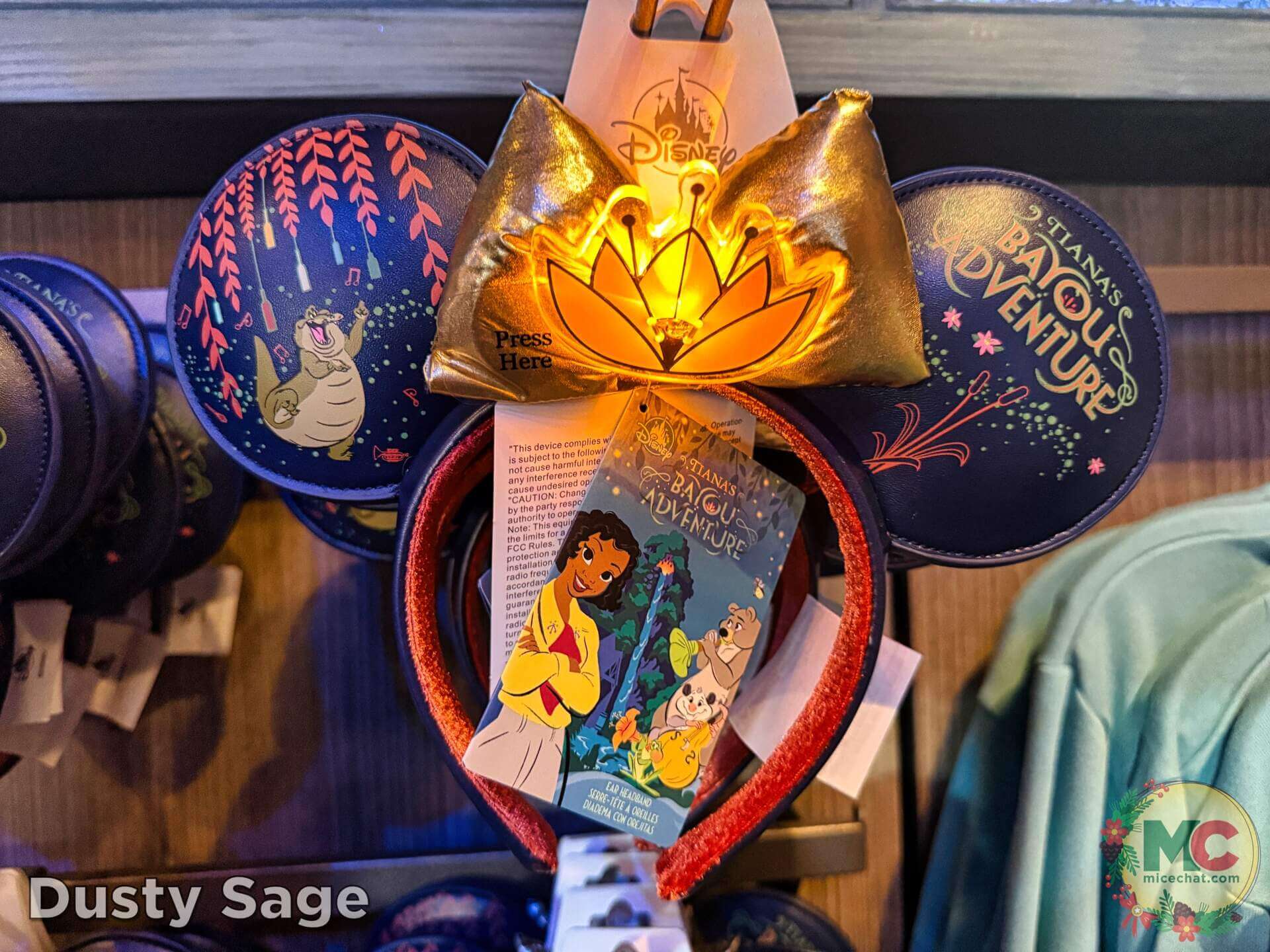 , DISNEYLAND UPDATE: Construction Conclusions & Mansion Mysteries Revealed
