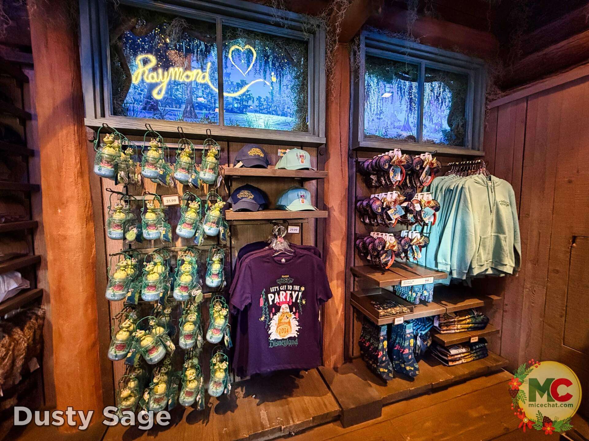 Disneyland 2024 Year in Review, Disneyland 2024 Year in Review – From New Rides to Big Promises!