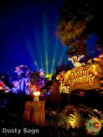 disneyland-tianas bayou adventure beauty night lights 2- MiceChat
