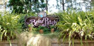 Yesterland: The Briar Patch at Critter Country