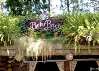 Yesterland: The Briar Patch at Critter Country